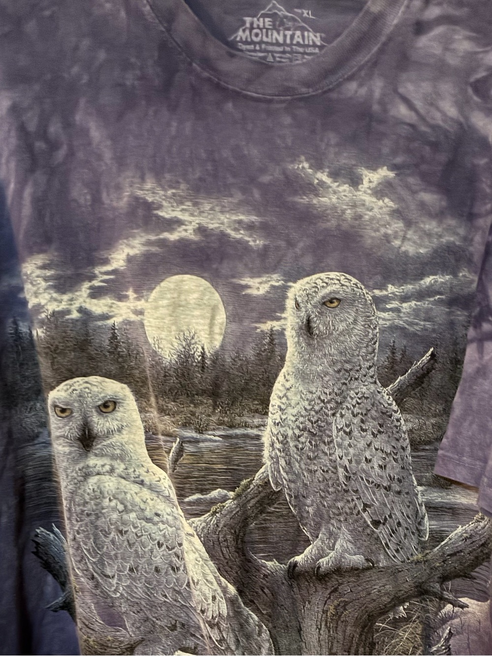 The Mountain Purple Snowy Owl Night Scene Tee